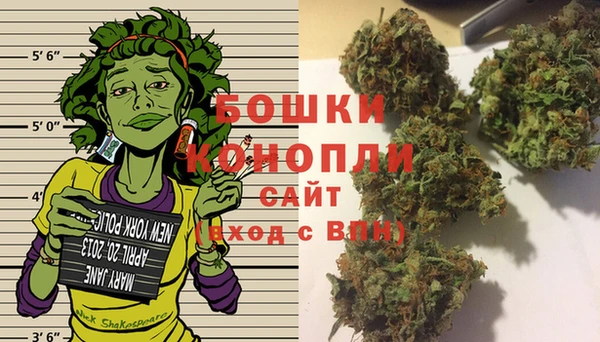 PSILOCYBIN Белокуриха