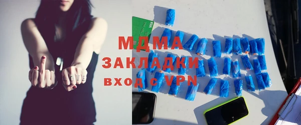 гидра Богданович