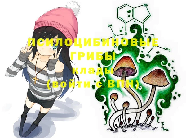 гидра Богданович