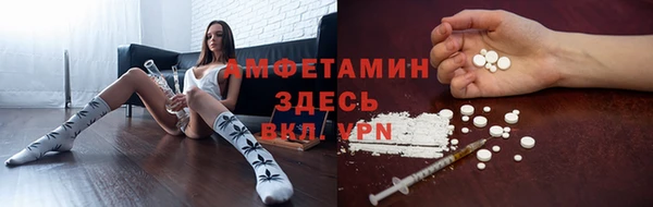 PSILOCYBIN Белокуриха